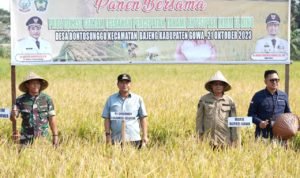 Panen Raya di Gowa, Sulsel Sukses Tangani Dampak El Nino