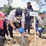 Pemkot Palopo Siapkan 48 Hektar Lahan untuk Budidaya Pisang