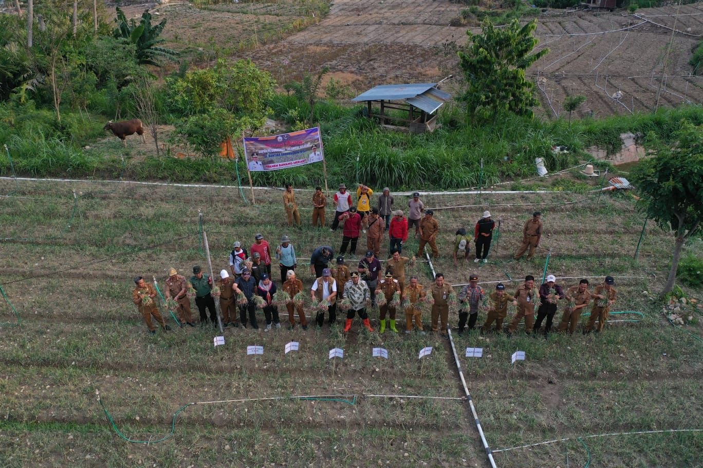 Pemprov Sulsel Bakal Bantu Sumur Bor untuk Petani Enrekang. (ist)