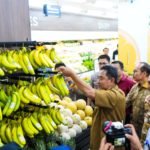 Sulsel Siap Penuhi Kebutuhan Pisang Cavendish Nasional Hingga Ekspor