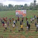 Warga Bantaeng Harap Tanaman Pisang Cavendish Ubah Perekonomian Petani