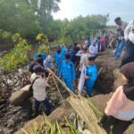 Lestarikan Pesisir di Hari Nusantara, DKP Sulsel Tanam 78 Ribu Mangrove di Bone