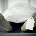 Sehari Dilaporkan Hilang, Perempuan Luwu Ditemukan Tewas dengan Luka Lebam