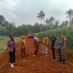 Pekon Tri Tunggal Mulyo Lakukan Pembukaan Badan Jalan Ketahanan Pangan DD 2024