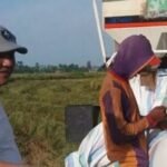 Akibat Banjir Bandang di Luwu, Petani Gagal Panen