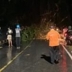 Longsor Tutup Jalan Trans Sulawesi di Sampoddo Palopo Sulsel