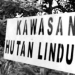 Sejumlah Proyek Jalan di Luwu Diduga Masuk Dalam Kawasan Hutan Lindung
