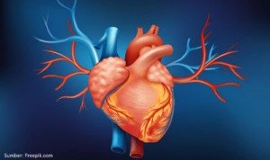 Hindari 4 Jenis Makanan Ini agar Jantung Tetap Sehat