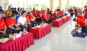 Sosialisasi BHD dan EWS di Luwu, Dorong Peran Aktif Masyarakat dan Nakes