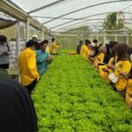 Mahasiswa Agroteknologi UNCP Ikuti Field Trip Edukatif ke Malino Gowa, Tingkatkan Pemahaman Pertanian Berkelanjutan