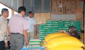 Sidak Pasar, Bupati Luwu Imbau Pedagang Kerjasama Perum BULOG Jual Beras SPHP