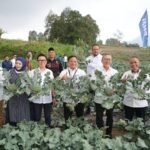 Menko Zulkifli Hasan Panen Brokoli hingga Ayam Petelur di Rumah Pangan PNM